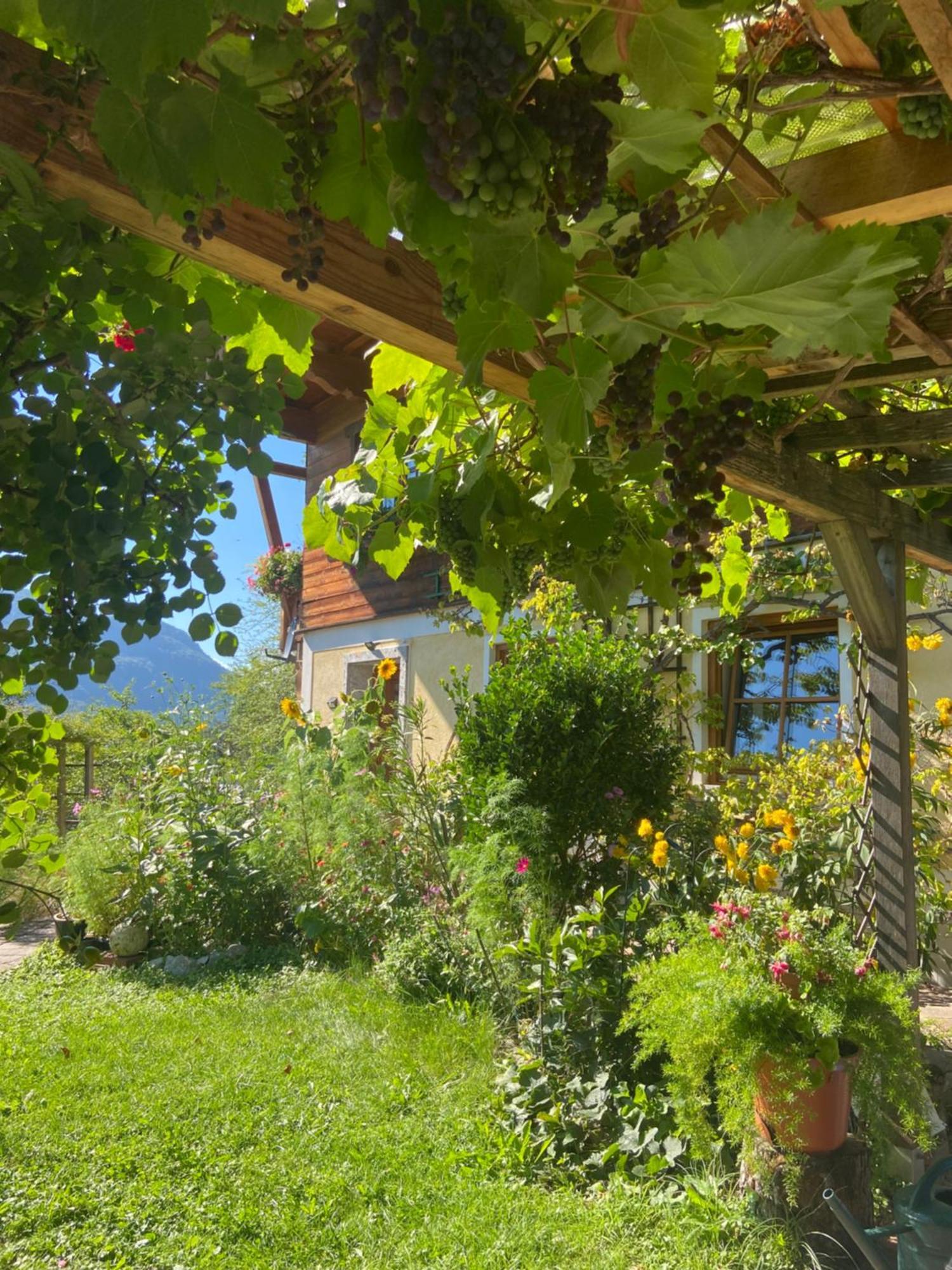 Am Jodlerweg * Bad Ischl